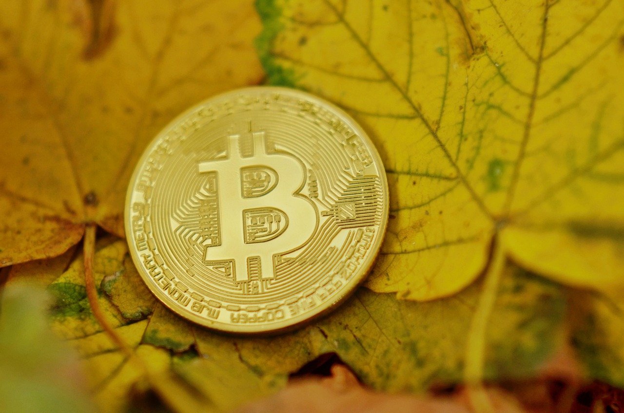 加密风投ParaFi：稳定币USDe维持强势挂钩！Ethena的TVL成长仍具空间